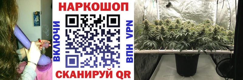 Магазин наркотиков Тамбов Cocaine  Псилоцибиновые грибы  Каннабис  A PVP 