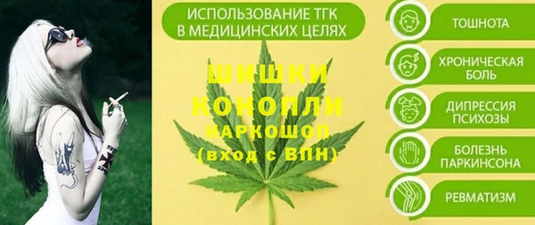 герыч Мегион
