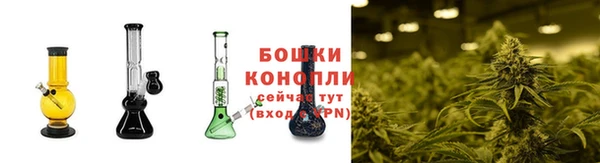 ПСИЛОЦИБИНОВЫЕ ГРИБЫ Михайлов