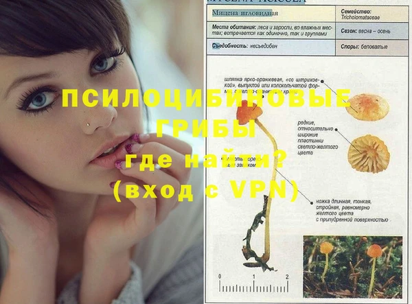 герыч Мегион