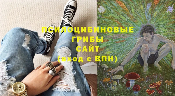 ПСИЛОЦИБИНОВЫЕ ГРИБЫ Михайлов