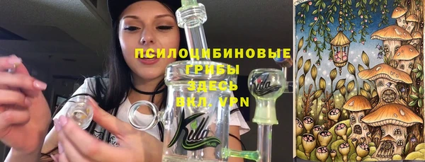 герыч Мегион