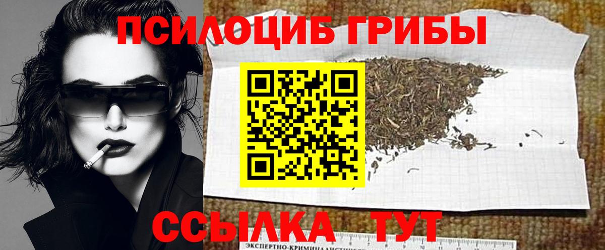 Псилоцибиновые грибы Psilocybe  Вход с VPN  Тамбов 