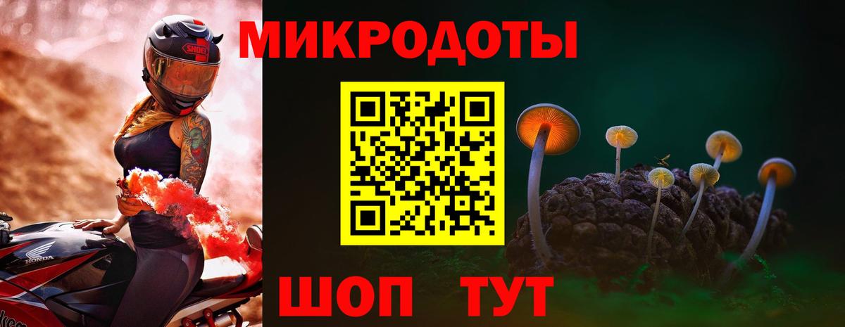 Галлюциногенные грибы Psilocybine cubensis Тамбов
